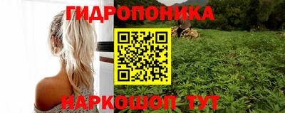 тгк Будённовск
