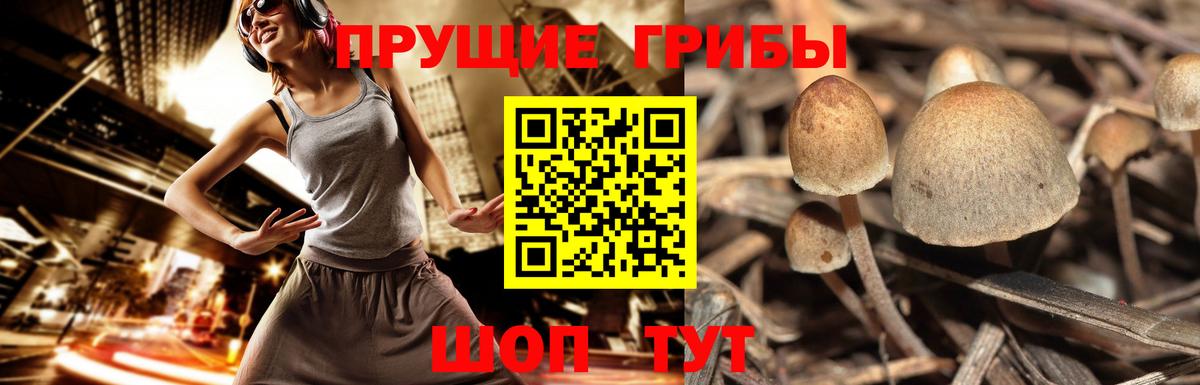 даркнет сайт  Галлюциногенные грибы мухоморы  Вход с VPN  Боровичи  Псилоцибиновые грибы Psilocybine cubensis 
